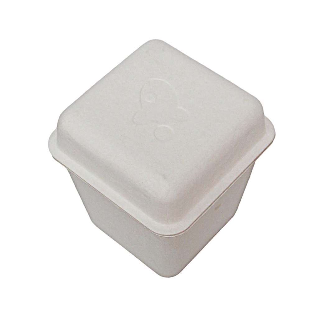 Cookie bagasse box